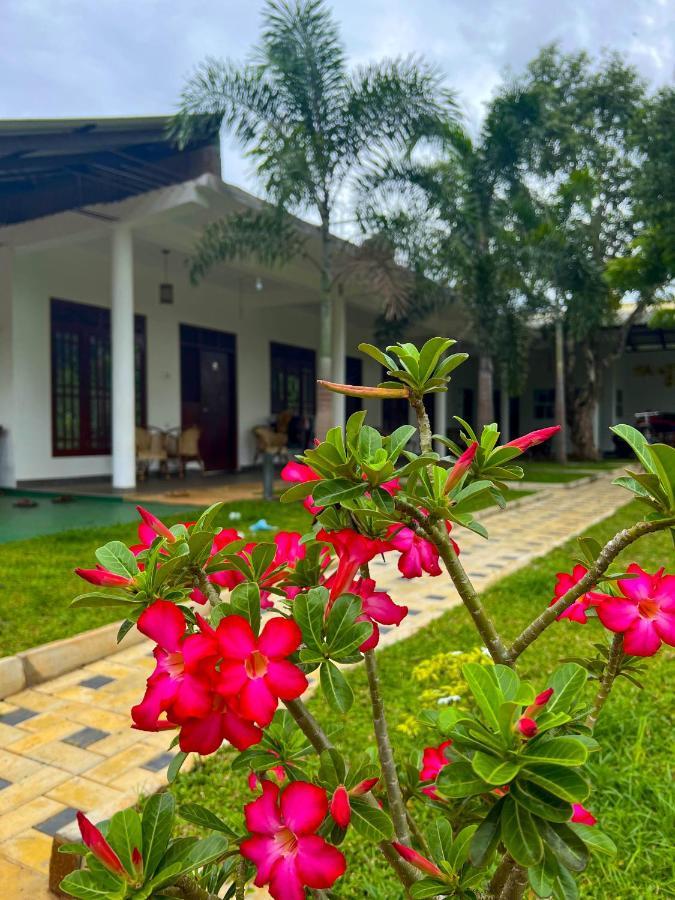 Sigiriya Green Garden Homestay Zewnętrze zdjęcie